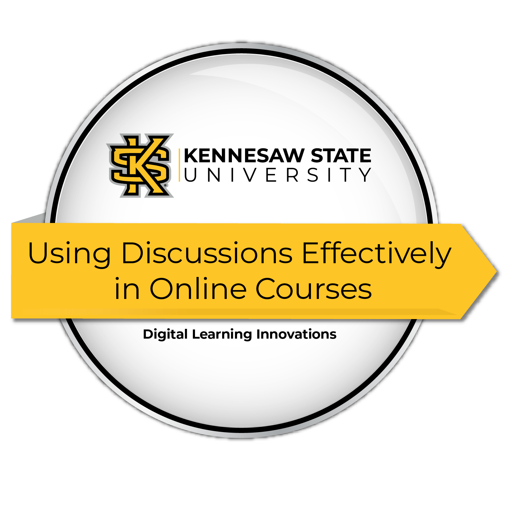 Using Discussion Effectively in Online Courses presented by Digital Learning Innovations. Souvenir.